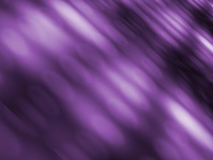 培训体系